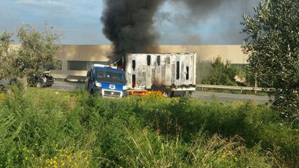 Italy: Cướp xe bọc thép chở tiền bài bản như "chiến thuật quân sự" ảnh 1