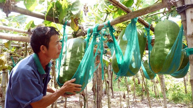 Bình Định bảo tồn, phát triển các làng nghề có nguy cơ thất truyền ảnh 2