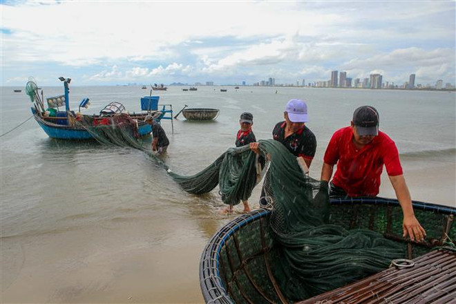 Ngư dân Đà Nẵng vận chuyển các ngư lưới cụ vào sâu trong đất liền để tránh bão Noru. (Ảnh: Trần Lê Lâm/TTXVN) Vùng biển phía Đông Bắc và giữa Biển Đông có gió mạnh tới cấp 11 ảnh 1