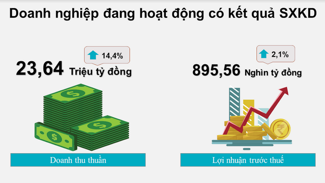 Sách trắng 2020: Khu vực doanh nghiệp đóng góp 60% vào GDP ảnh 2