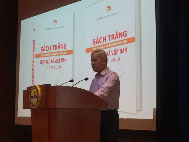 Sách trắng 2020: Khu vực doanh nghiệp đóng góp 60% vào GDP ảnh 1