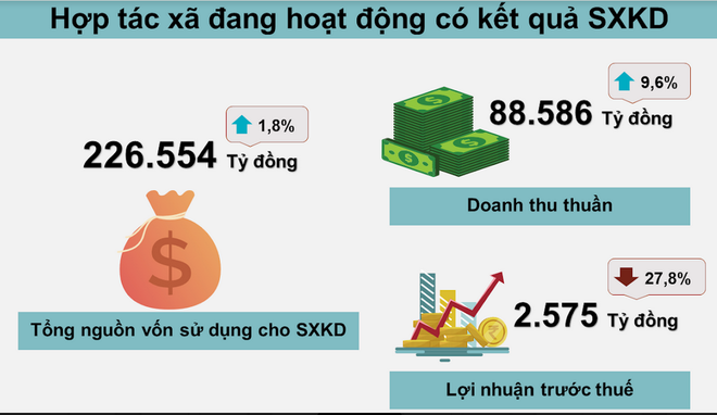 (Nhấp chuột vào ảnh để xem kích thước chuẩn) Cả nước có 61,6% hợp tác xã quy mô nhỏ dưới 10 lao động ảnh 1