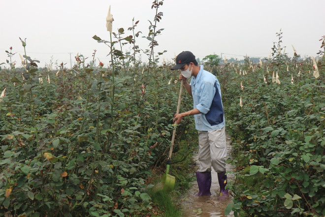 Dịch COVID-19: Mê Linh tiếp tục phòng dịch, khôi phục sản xuất ảnh 2