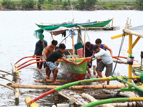Philippines: Hàng trăm nghìn người sơ tán "trốn" bão Rammasun ảnh 1