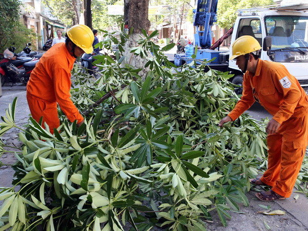 Bão Rammasun trên Biển Đông gây ra gió mạnh, biển động dữ dội ảnh 1