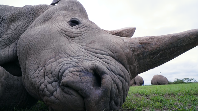 Các nhóm môi trường kiện chính quyền Tổng thống Donald Trump ảnh 1