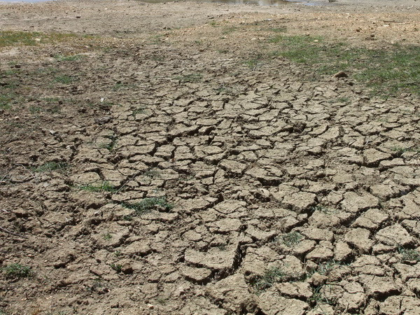 Quảng Ngãi rơi vào cảnh “khát” nước sinh hoạt trên diện rộng ảnh 1