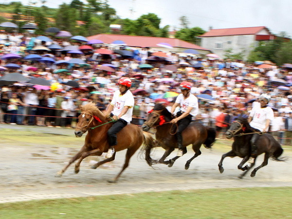 Trên 30.000 lượt du khách đến với Giải đua ngựa Bắc Hà ảnh 2