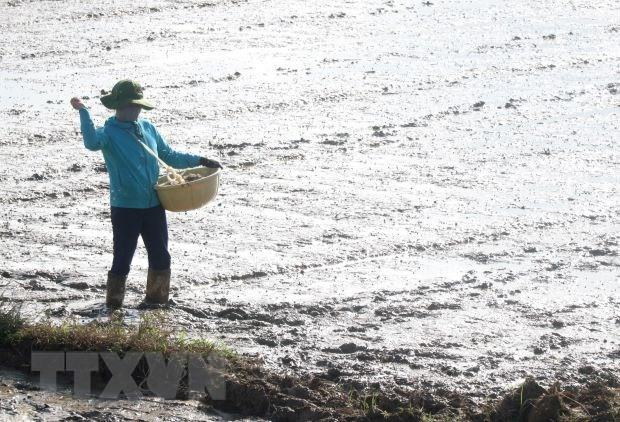 Vụ Hè Thu và vụ Mùa ở miền Trung có khả năng thiếu nước sản xuất ảnh 1