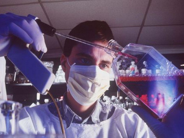 Pháp: Xác định nguyên nhân gây tử vong trong thử nghiệm thuốc ảnh 1