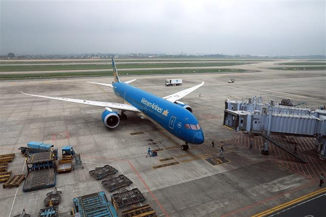 Chuyến bay miễn phí đưa công dân khó khăn từ Nhật Bản về quê đón Tết ảnh 1