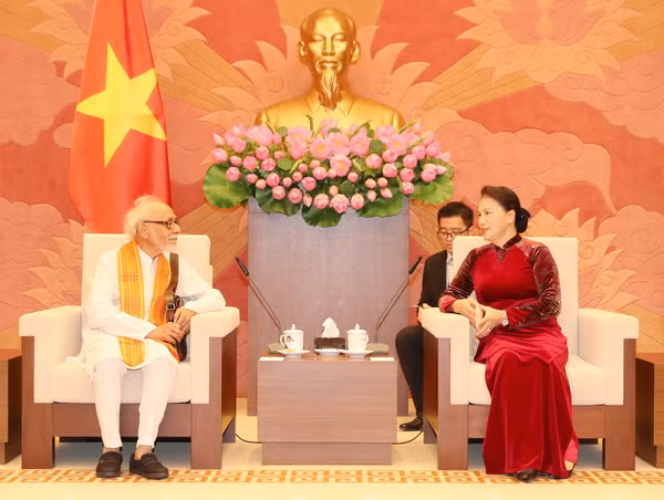 Thúc đẩy quan hệ đối tác chiến lược toàn diện Việt-Ấn thực chất hơn ảnh 1
