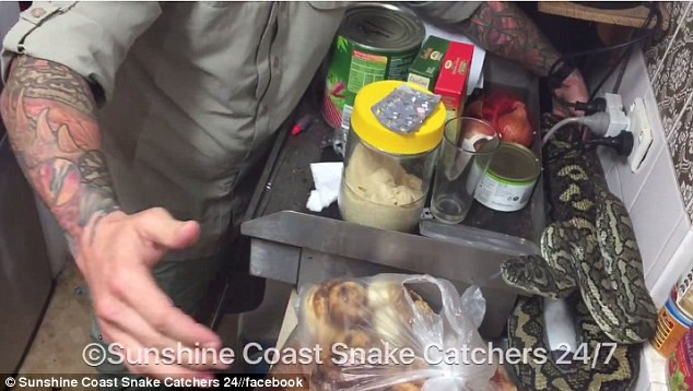 Rùng mình cảnh con trăn lớn nằm cuộn tròn phía sau lò vi sóng ảnh 1