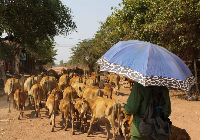 Các tỉnh Nam Bộ tiếp tục nắng nóng, nhiệt độ tăng thêm 1-2 độ C ảnh 1