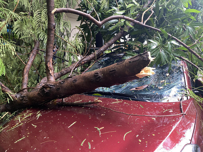 Hà Nội: Cây gãy đổ trúng ôtô trong cơn mưa dông sáng 28/9 ảnh 3