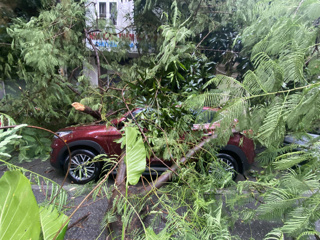 Hà Nội: Cây gãy đổ trúng ôtô trong cơn mưa dông sáng 28/9 ảnh 2
