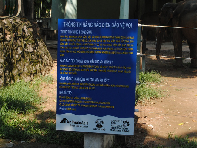 Khánh thành hàng rào điện khu chăm sóc voi tại Vườn thú Hà Nội ảnh 9