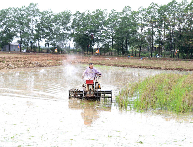 Xem xét giảm số ngày lấy nước đợt 2 ở Trung du và Đồng bằng Bắc Bộ ảnh 1