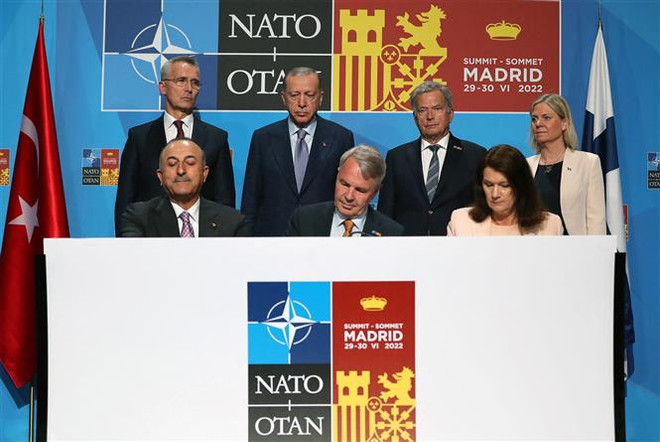 Thụy Điển và Phần Lan bắt đầu tiến hành đàm phán gia nhập NATO ảnh 1