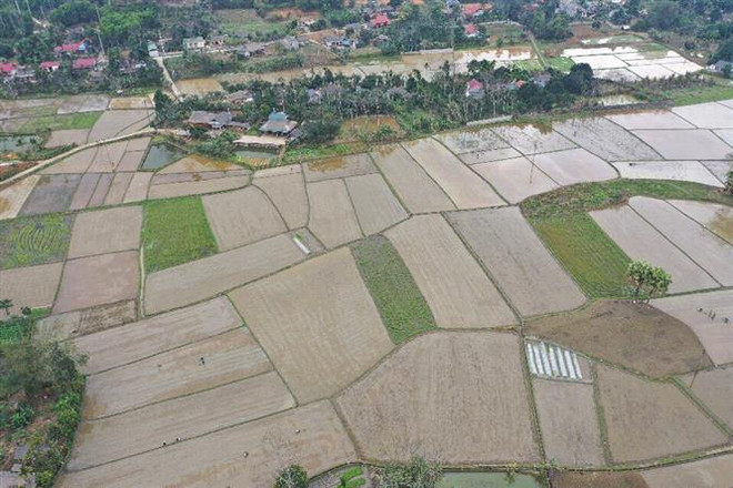 Ban hành Kế hoạch cơ cấu lại ngành nông nghiệp giai đoạn 2021-2025 ảnh 1