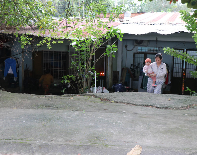 ttxvn_quy hoach treo Quang Ngai (2).jpg