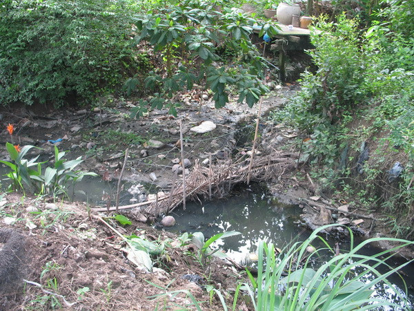 Xử phạt một công ty 876 triệu đồng do xả thải ra sông Hậu ảnh 1