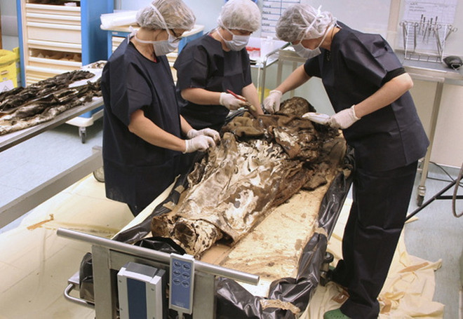 Phát hiện thi hài phụ nữ thế kỷ 17 chôn cùng trái tim chồng ảnh 1