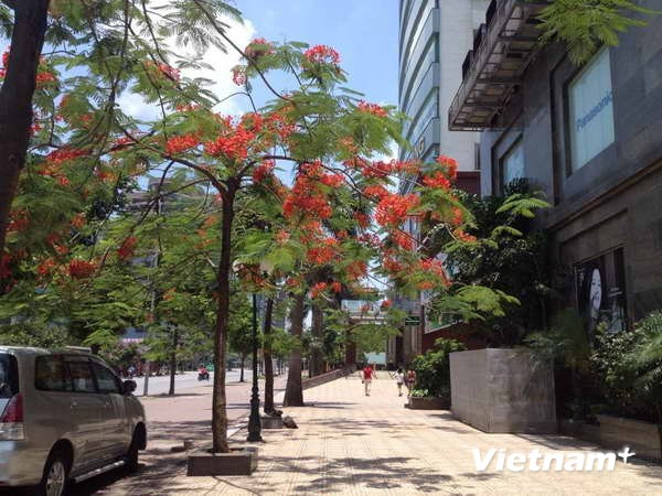 Bắc Bộ trời oi nóng, Nam Bộ mưa dông đến cuối tuần ảnh 1