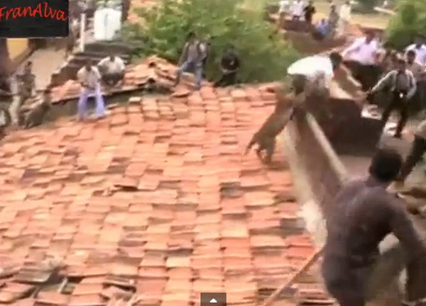 Hãi hùng với cảnh báo đốm sổng chuồng tấn công người ảnh 1