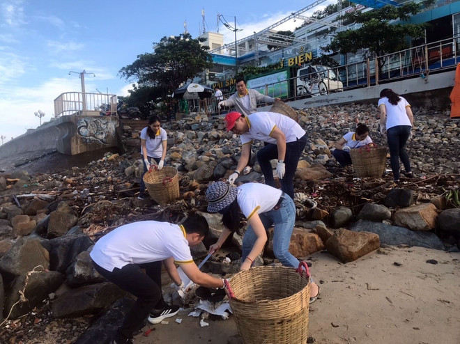 Bà Rịa-Vũng Tàu: Tình nguyện viên, du khách dọn 50 tấn rác ở bờ biển ảnh 2