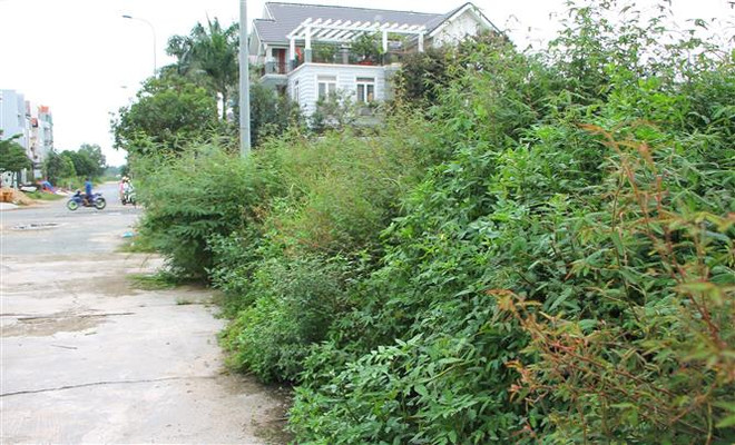 Hà Nội: Xử lý nghiêm những vi phạm quản lý đất đai ở Thanh Oai ảnh 1