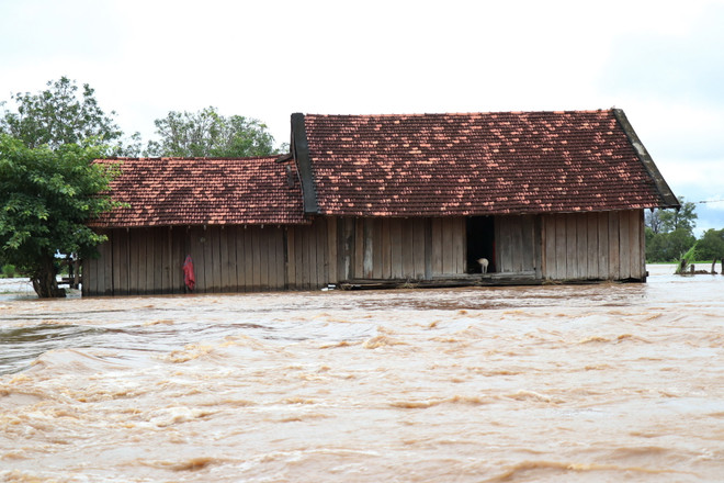 Đắk Lắk: Mưa lớn gây ngập lụt cục bộ tại huyện biên giới Ea Súp ảnh 1