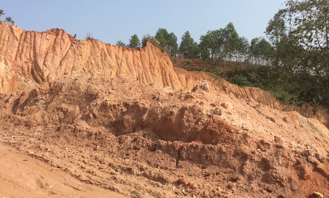 Xử phạt 1.500 tổ chức, cá nhân vi phạm với số tiền trên 116 tỷ đồng ảnh 1