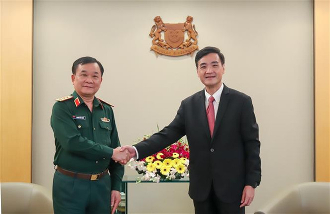Việt Nam-Singapore hợp tác quốc phòng chặt chẽ vì lợi ích chung ảnh 1
