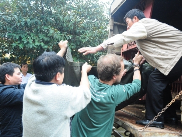 Di trú cặp gấu ngựa về “ngôi nhà” gấu lớn nhất Việt Nam ảnh 5