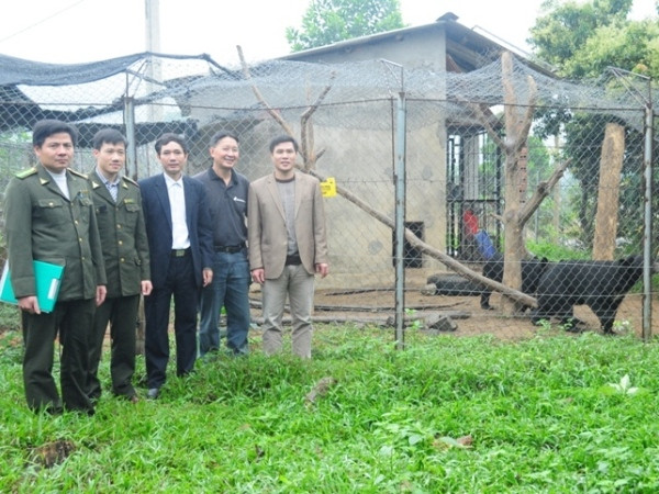 Di trú cặp gấu ngựa về “ngôi nhà” gấu lớn nhất Việt Nam ảnh 4