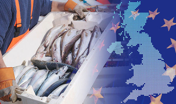 Vấn đề Brexit: Quyền đánh bắt hải sản khiến ngư dân Anh bất an ảnh 1