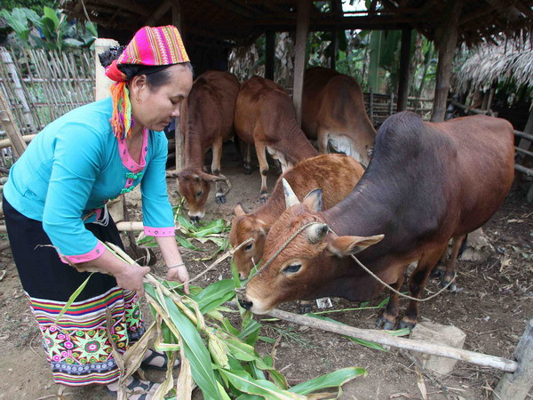 Cụ thể hóa mục tiêu giảm nghèo vào phát triển kinh tế-xã hội ảnh 1