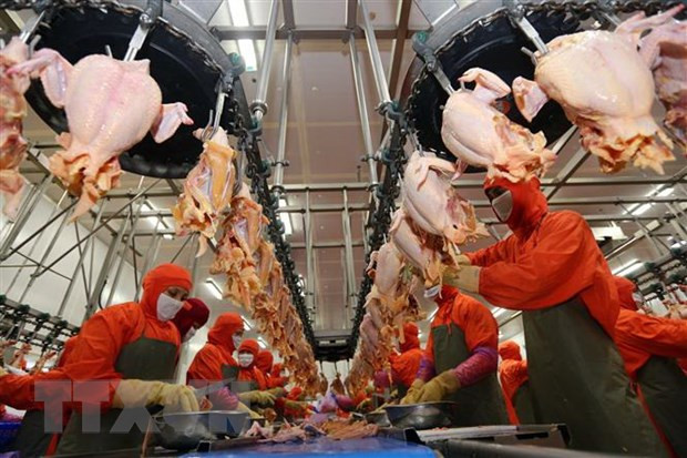 Thị trường thực phẩm và đồ uống Việt Nam hấp dẫn doanh nghiệp ngoại ảnh 2