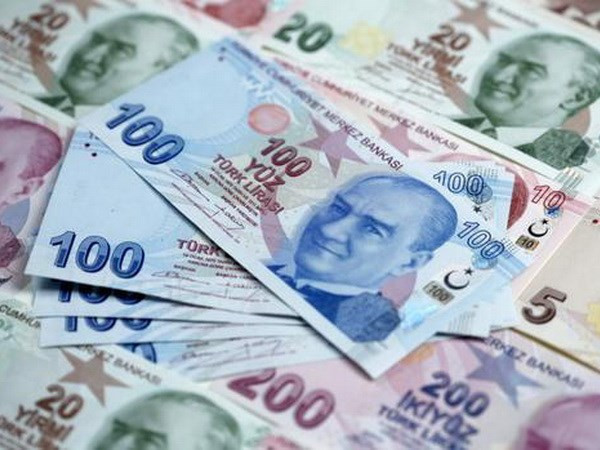 Qatar tăng cường hỗ trợ Thổ Nhĩ Kỳ đối phó khủng hoảng tài chính ảnh 1