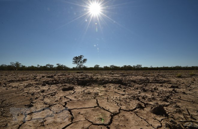 Thời tiết cực đoan đe dọa đến sản lượng ngũ cốc toàn cầu ảnh 1