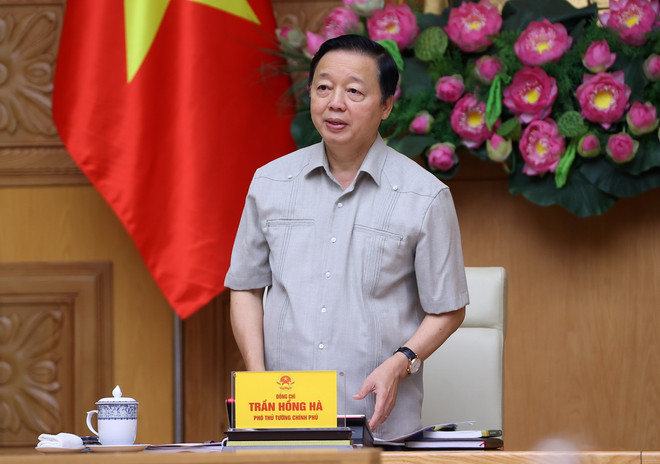 ttxvn_tran hong ha (1).jpg