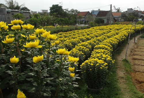 Đông Bắc Bộ tăng nhiệt, Tây Nguyên và Nam Bộ vẫn khô nóng ảnh 1