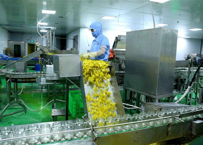 Dây chuyền đóng lọ ớt xuất khẩu tại nhà máy chế biến của Công ty CP chế biến thực phẩm xuất khẩu GOC. (Ảnh: Vũ Sinh/TTXVN) Thị trường thực phẩm Halal - Cơ hội cho doanh nghiệp Việt Nam ảnh 1