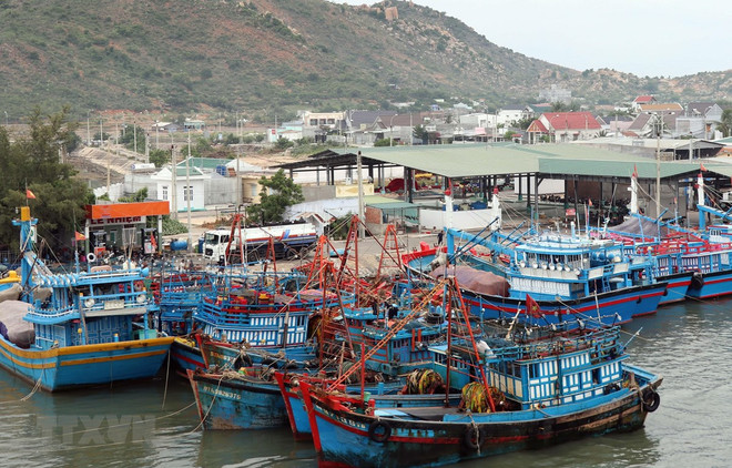 Ứng phó áp thấp nhiệt đới, Quảng Nam cấm biển từ 16 giờ ngày 17/10 ảnh 1