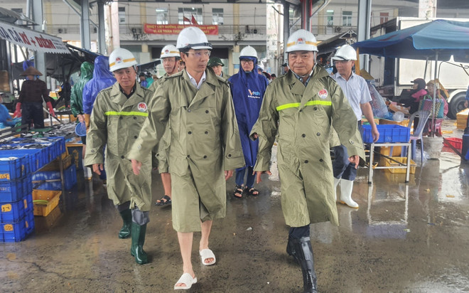 Ban Chỉ đạo Quốc gia về Phòng, Chống Thiên tai kiểm tra tại Đà Nẵng ảnh 1