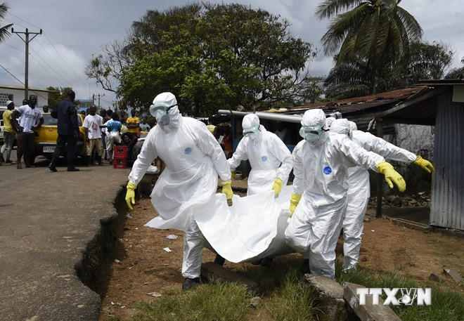 WHO: Số ca nhiễm virus Ebola đã vượt quá 10.000 người ảnh 1
