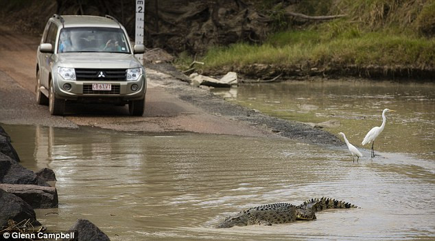 Đi bộ qua con sông dữ, người đàn ông bị cá sấu cắn chết ảnh 1