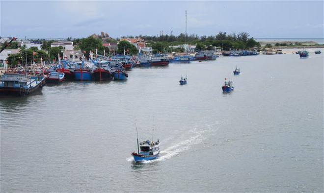 Ninh Thuận, Bình Định chủ động ứng phó với áp thấp nhiệt đới ảnh 1