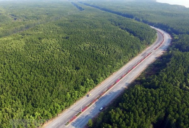 Bộ TN-MT thông tin việc phê duyệt ĐTM dự án lấn biển Cần Giờ ảnh 2